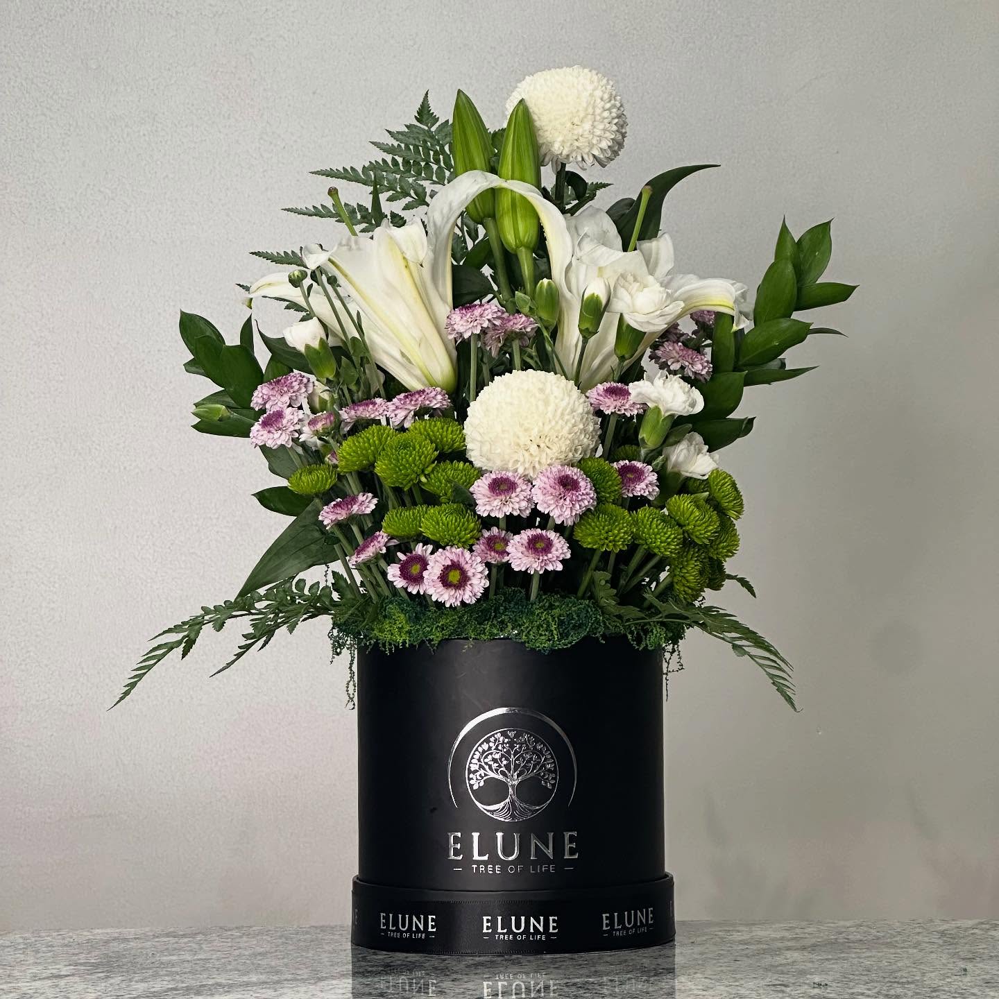 Enchanted Eclipse Box