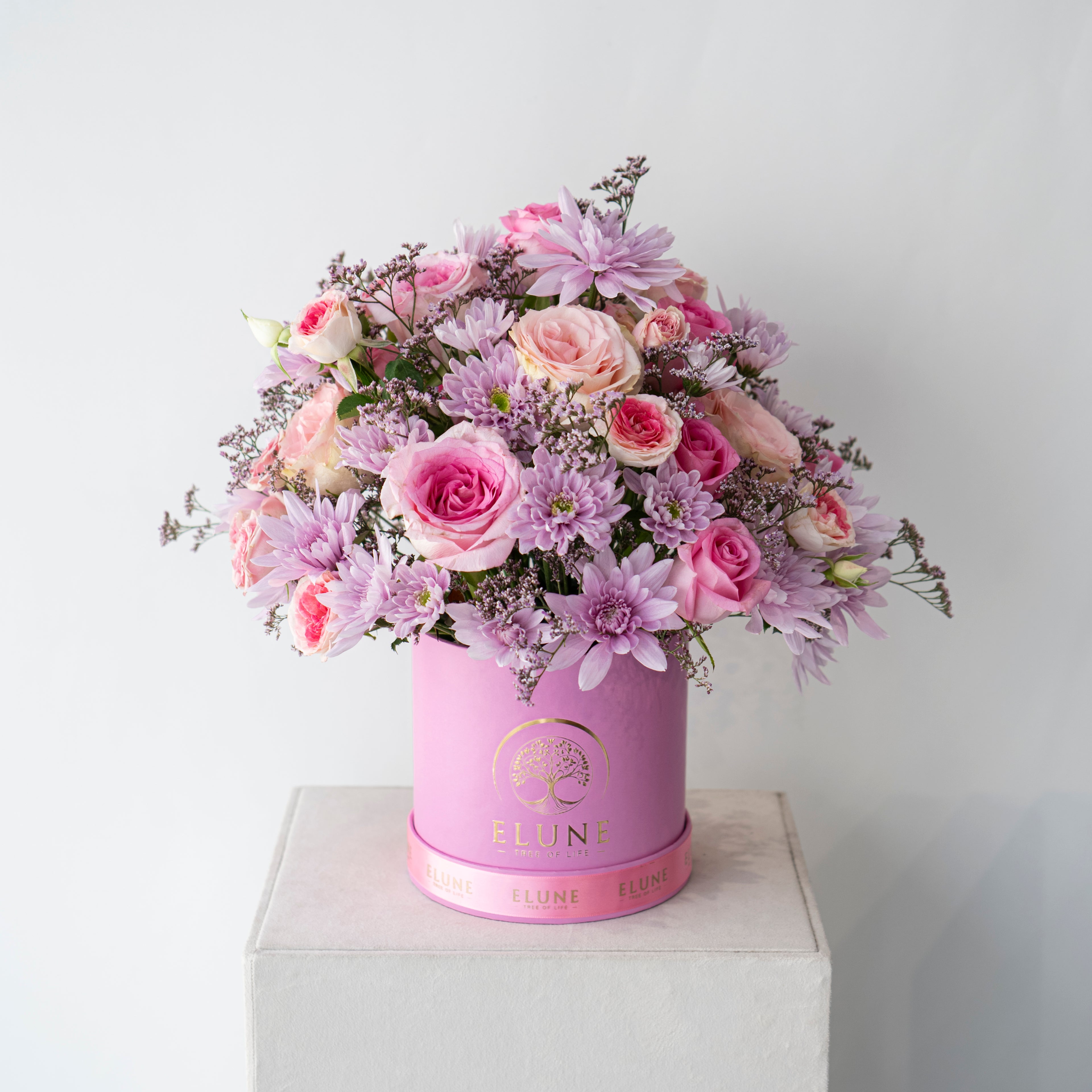 Dreamsong Blossom
